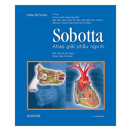 Atlas giải phẫu Sobotta