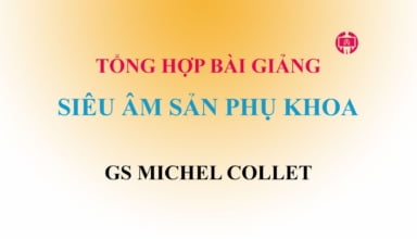 Bài giảng Siêu âm Sản phụ khoa Tiếng Việt GS Michel Collet