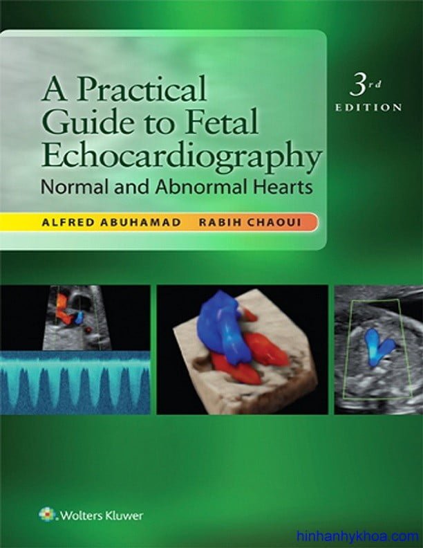 A Practical Guide to Fetal Echocardiography 3ed