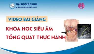 Video Siêu âm Tổng quát | Chẩn đoán hình ảnh | Siêu âm | Hình ảnh ...