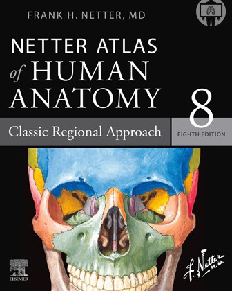 netter-atlas-of-human-anatomy-8-classic-regional-approach