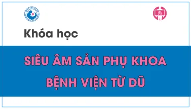 Video Khóa học Siêu âm Sản Phụ khoa BV Từ Dũ (2023)