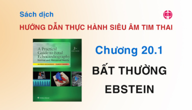 Huong Dan Thuc Hanh Sieu Am Tim Thai - Chuong 20.1 Bat Thuong Ebstein