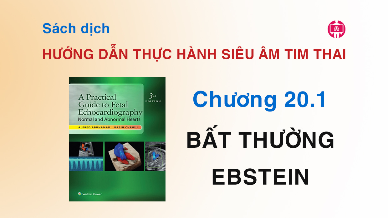 Huong Dan Thuc Hanh Sieu Am Tim Thai - Chuong 20.1 Bat Thuong Ebstein