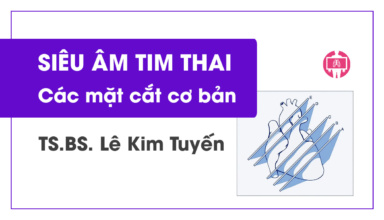 Cac Mat Cat Co Ban Trong Sieu Am Tim Thai - Ts.bs Le Kim Tuyen