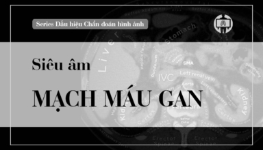 sieu am mach mau cac benh ly gan