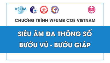 CME Sieu am da thong so buou vu va buou giap 2024