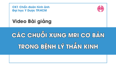mri cac chuoi xung co ban trong benh ly than kinh