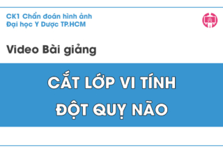 CT dot quy nao