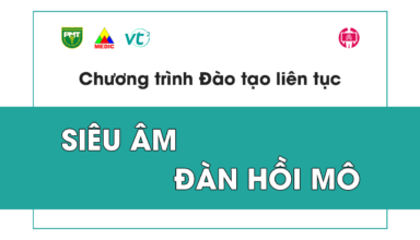 gioi thieu khoa hoc sieu am dan hoi mo