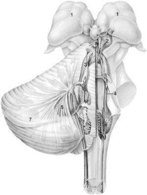 Cac ton thuong gia u nao - hinh 10+