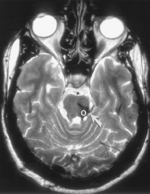 Cac ton thuong gia u nao - hinh 10a