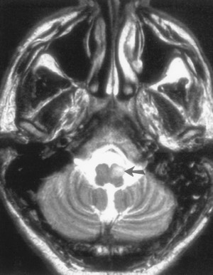 Cac ton thuong gia u nao - hinh 10b