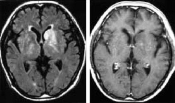 Cac ton thuong gia u nao - hinh 1ab