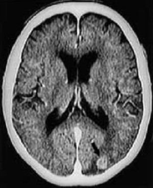 Cac ton thuong gia u nao - hinh 2