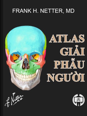 Atlas giai phau nguoi Netter_hinhanhykhoa.com_300x400
