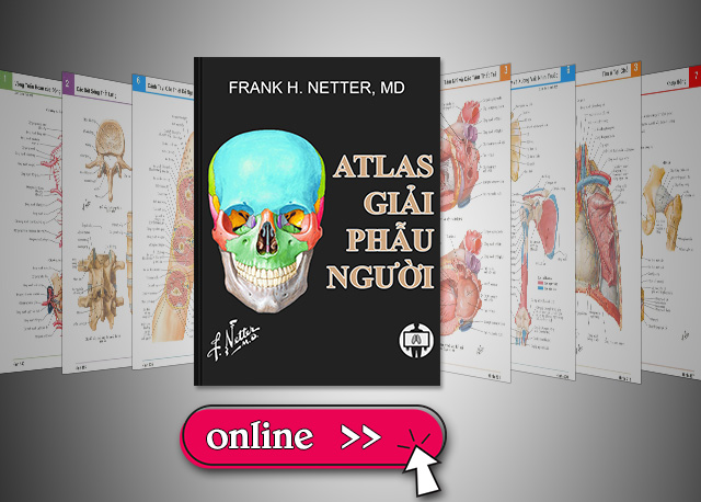 Atlas giải phẫu người Netter (online)